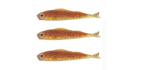 Przynęta Jaxon Extreme Soft Drop Shot TD-04C 1 OP/5SZT  