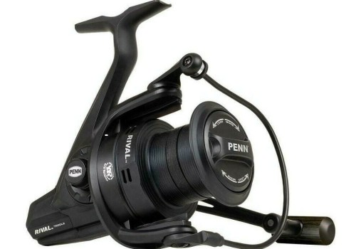 Kołowrotek Penn RIVAL RVLBK7000LC
www.rob-tar.pl