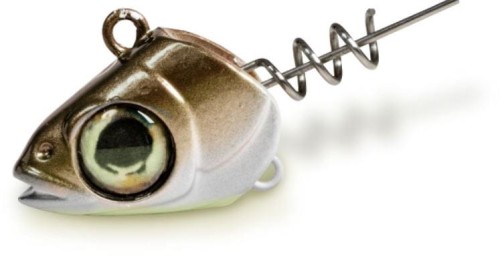 Główka jigowa z wkrętką Arkansa Shiner Quantum
www.rob-tar.pl