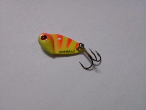 CYKADA ĆMA 2,5g  ŻÓŁTA Z POMARAŃCZEM www.rob-tar.pl