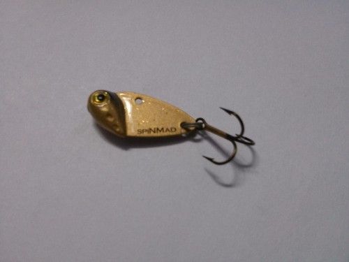 CYKADA ĆMA 2,5g  ZŁOTA WWW.ROB-TAR.PL