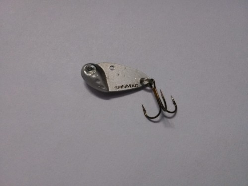 CYKADA ĆMA 2,5g  SREBRNA www.rob-tar.pl