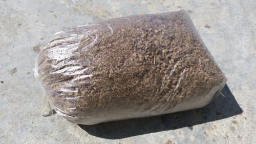 Jętka SUSZONA - przynęta sumowa 0,5 kg WWW.ROB-TAR.PL