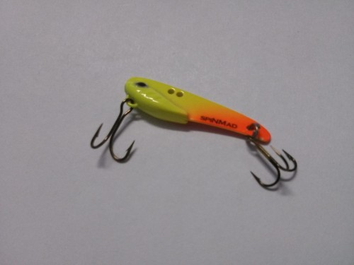 CYKADA UKLEJA 2,5G  SELEDYNOWO-CZERWONA