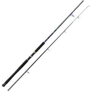Ron Thompson Wędka Hard Core Big Fish 320cm 200-300g