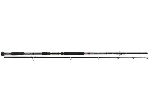 Wędka Berkley TEC CAT HUNTER PREMIUM SPIN 3.00M 500G