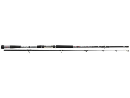 Wędka Berkley TEC CAT HUNTER PREMIUM SPIN 3.00M 500G www.rob-tar.pl
