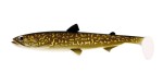 Westin HypoTeez ST 15cm 30g Natural Pike