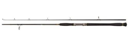 Legion Cat Gold Spin 245cm 50-175g - Penn.www.rob-tar.pl.JPG