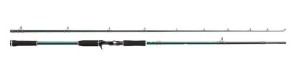 Abu Garcia BEAST X Pike 1,98m 45-100g Jerk Cast