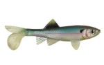 Berkley PowerBait Sick Fish 10cm Ghost Minnow