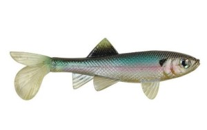 Berkley PowerBait Sick Fish 10cm Ghost Minnow