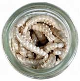 Power Bait Sparkle Honey Worm 55 szt
