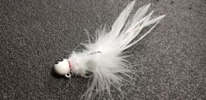 Kogut Biały 20 gr 2019