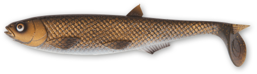 YOLO PIKE SHAD BREAM MOTOR OIL 60G 22CM www.rob-tar.pl