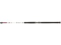 Wędka PENN Squadron II Shore CF 3.02m 150-500g  www.rob-tar.pl