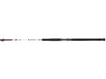 Wędka PENN Squadron II Shore CF 3.02m 150-500g