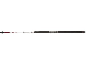 Wędka PENN Squadron II Shore CF 3.02m 150-500g