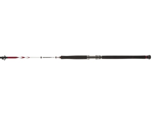 Wędka PENN Squadron II Shore CF 3.02m 150-500g  www.rob-tar.pl