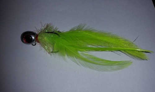 KOGUT 18 gr SELEDYN WWW.ROB-TAR.PL
