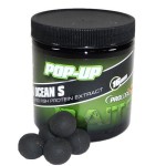 PROLOGIC EXPERIENCE POPUP BLACK OCEAN S 20MM