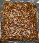Robak KASTER 0,25 Litra
